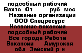 подсобный рабочий . Вахта. От 30 000 руб./мес. › Название организации ­ ООО Спецресурс › Название вакансии ­ подсобный рабочий - Все города Работа » Вакансии   . Амурская обл.,Зейский р-н